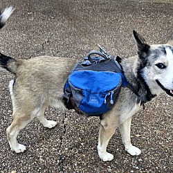 Thumbnail photo of CUBBY HIKER #1