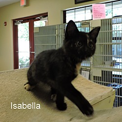 Thumbnail photo of Isabella #3