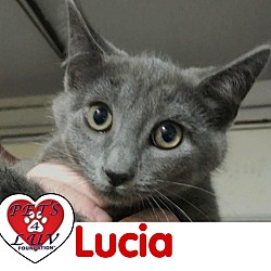Thumbnail photo of Lucia #2