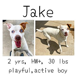 Photo of Jake