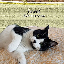 Thumbnail photo of JEWEL is a Gem! #4