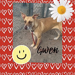 Thumbnail photo of Gwen #3