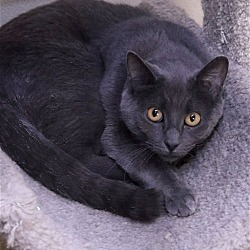 Photo of Imogene