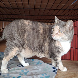 Photo of Tootsie Roll