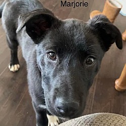 Photo of Marjorie