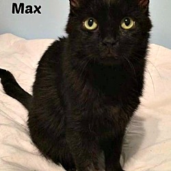 Thumbnail photo of Max #1
