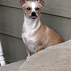 Photo of Annalee