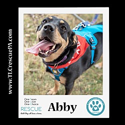 Photo of Abby 110423