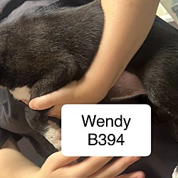 Thumbnail photo of Wendy B394 #2