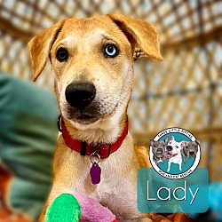 Thumbnail photo of Lady Stanley #1