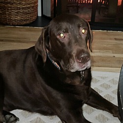 Photo of Bruce