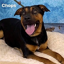 Photo of Chops