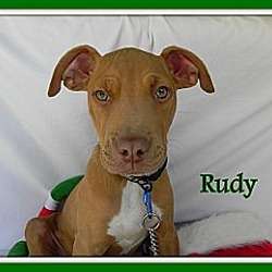 Photo of Rudy