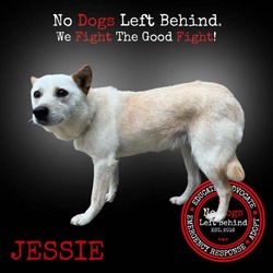 Thumbnail photo of Jessie 2802 #2