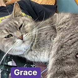 Thumbnail photo of Grace #1