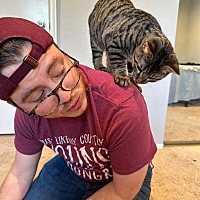 adopt a pet