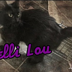 Thumbnail photo of Kelli Lou #1