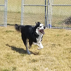 Photo of Ghost