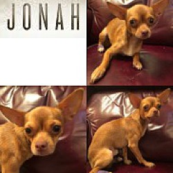 Photo of JONAH
