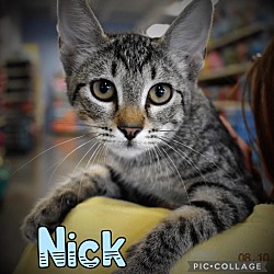 Photo of Nick