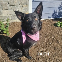 Thumbnail photo of Faith #1