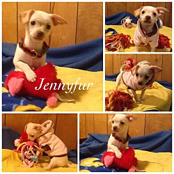 Photo of Jennyfur