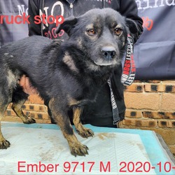 Photo of Ember 9717