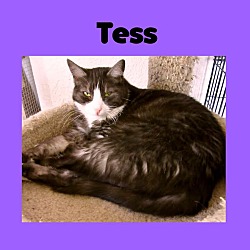 Thumbnail photo of Tess #3