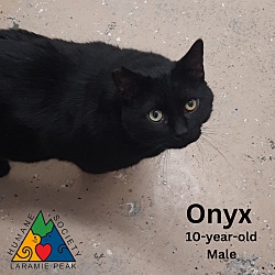 Thumbnail photo of Onyx #4