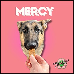 Thumbnail photo of Mercy #1