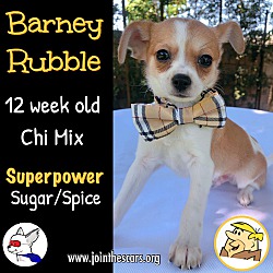 Thumbnail photo of Barney Rubble #1
