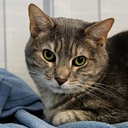 Photo of Furlicia