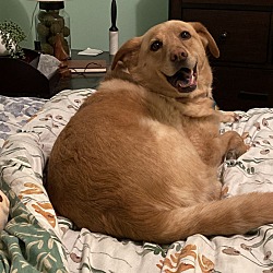 Photo of Carlee