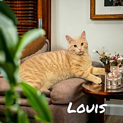 Thumbnail photo of Louis (Vuitton) #2