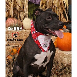 Thumbnail photo of Danny #1