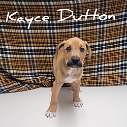 Photo of Kayce Dutton