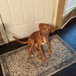 Photo of Millie