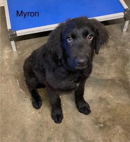 Photo of Myron