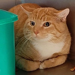 Photo of Linus