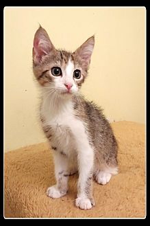 Opie