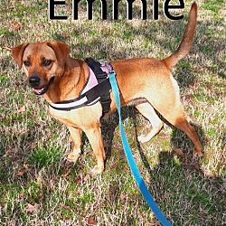 Photo of Emmie