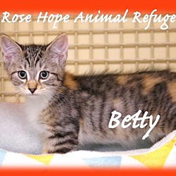Thumbnail photo of Betty,Bruno,Poppy,Ralphy #1