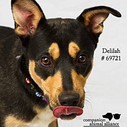 Thumbnail photo of Delilah #2