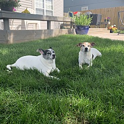Photo of Watson & Bella