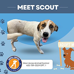 Thumbnail photo of Scout #1