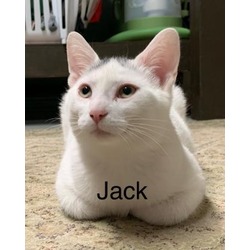 Thumbnail photo of Jack(bonded to Leo3) #2