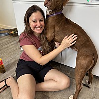 adopt a pet