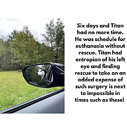 Thumbnail photo of Titan #3