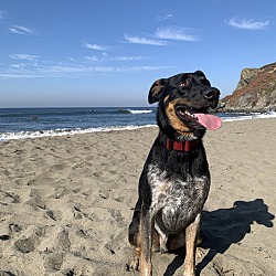 Photo of Finn