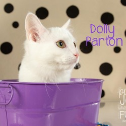 Thumbnail photo of Dolly Parton #4